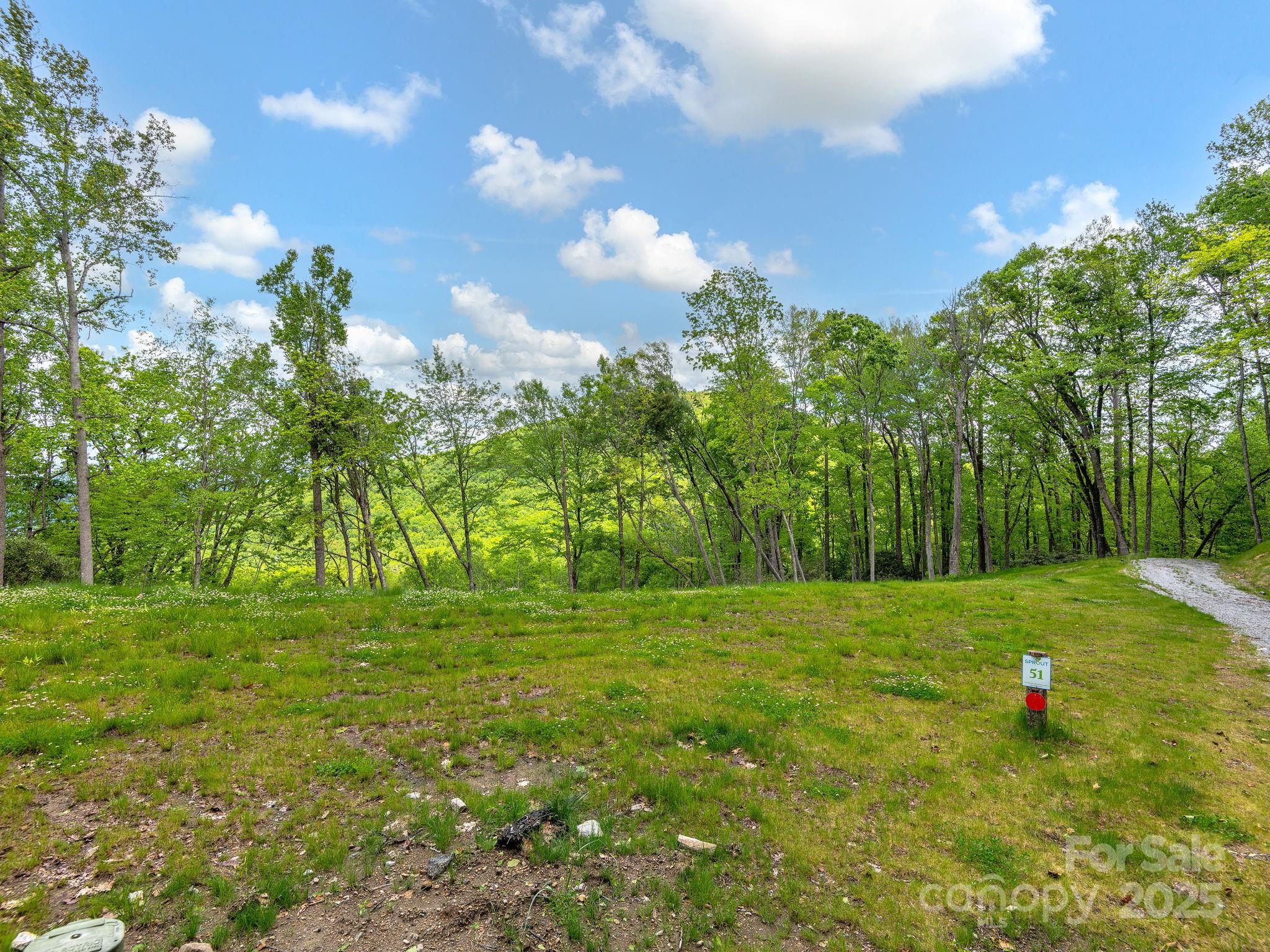 0 Hemlock Grove Trail, Unit 51 Fletcher, NC 28732 - Photo 2 of 11