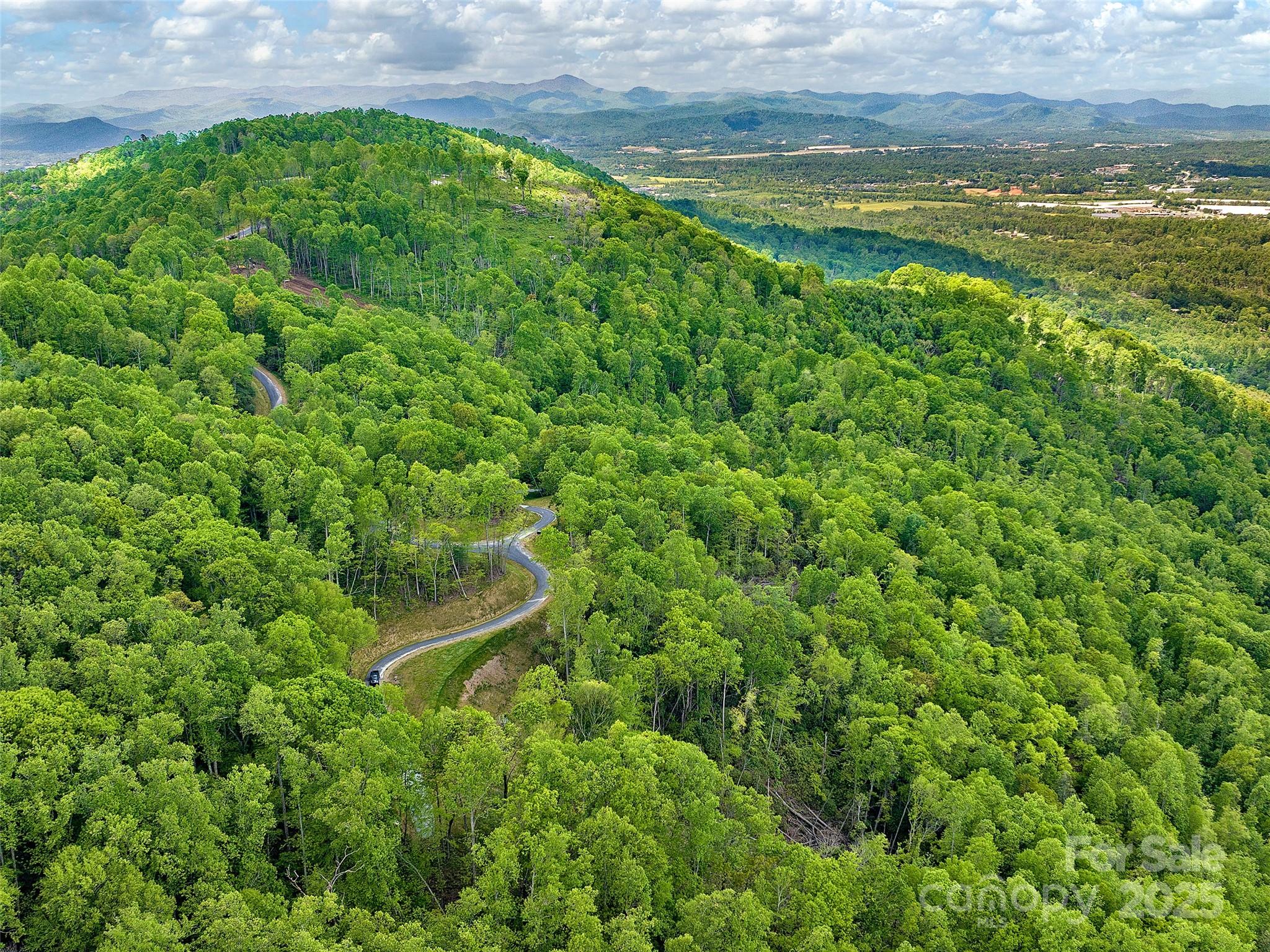 0 Hemlock Grove Trail, Unit 51 Fletcher, NC 28732 - Photo 5 of 11