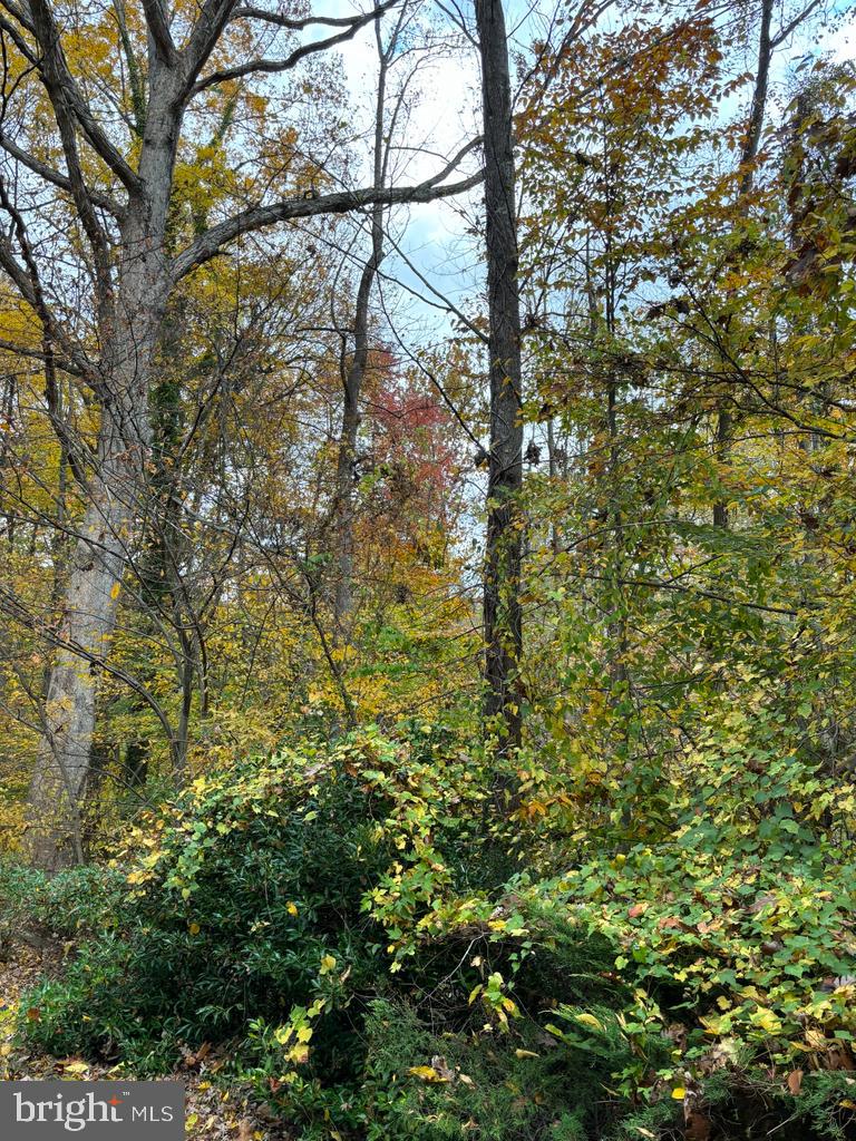 6803 Wild Rose Court Springfield, VA 22152 - Photo 47 of 49 a view of a yard