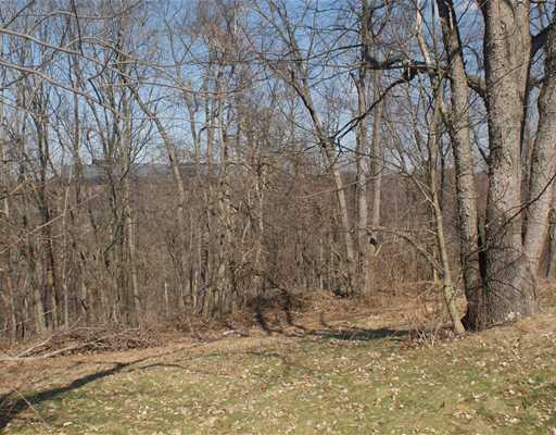 Land/Lot. Rear of lot backs to conservancy (S-1)
