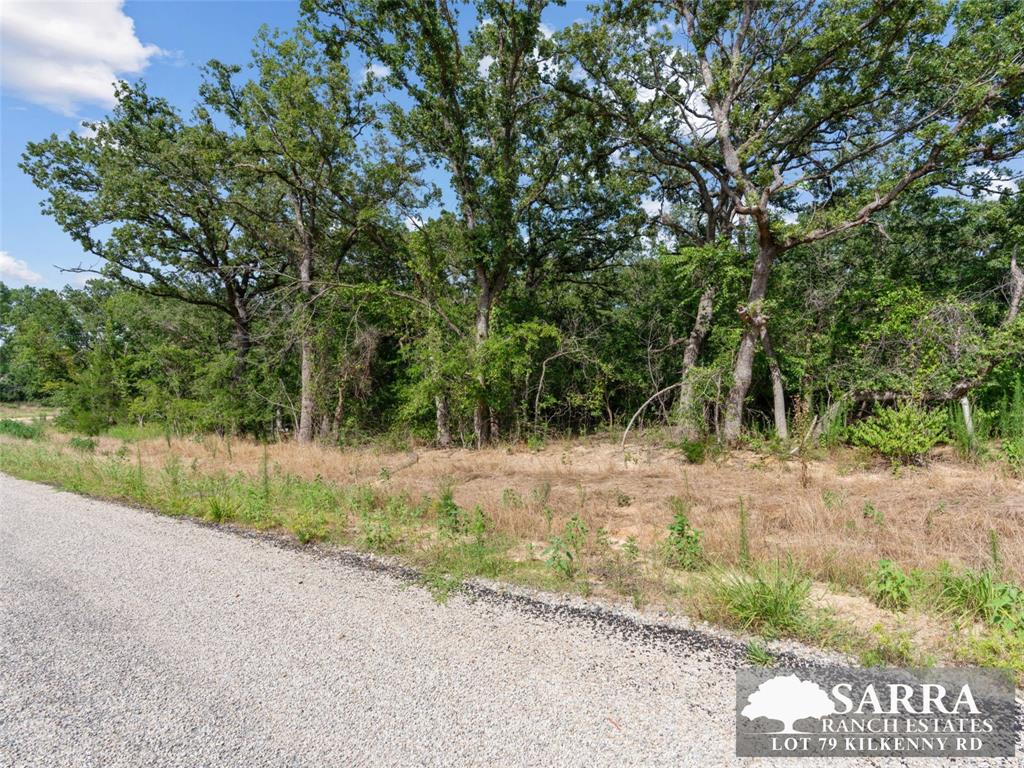 Lot 79 Kilkenney Road Poolville, TX 76487 - Photo 5 of 11