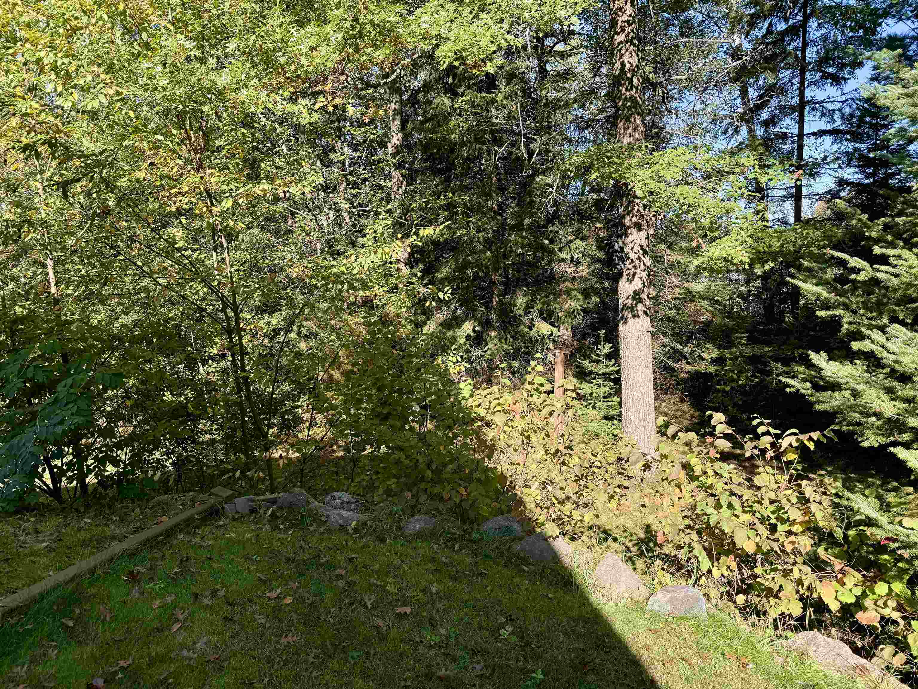 N13403 Highway 141 Wausaukee, WI 54177 - Photo 19 of 50