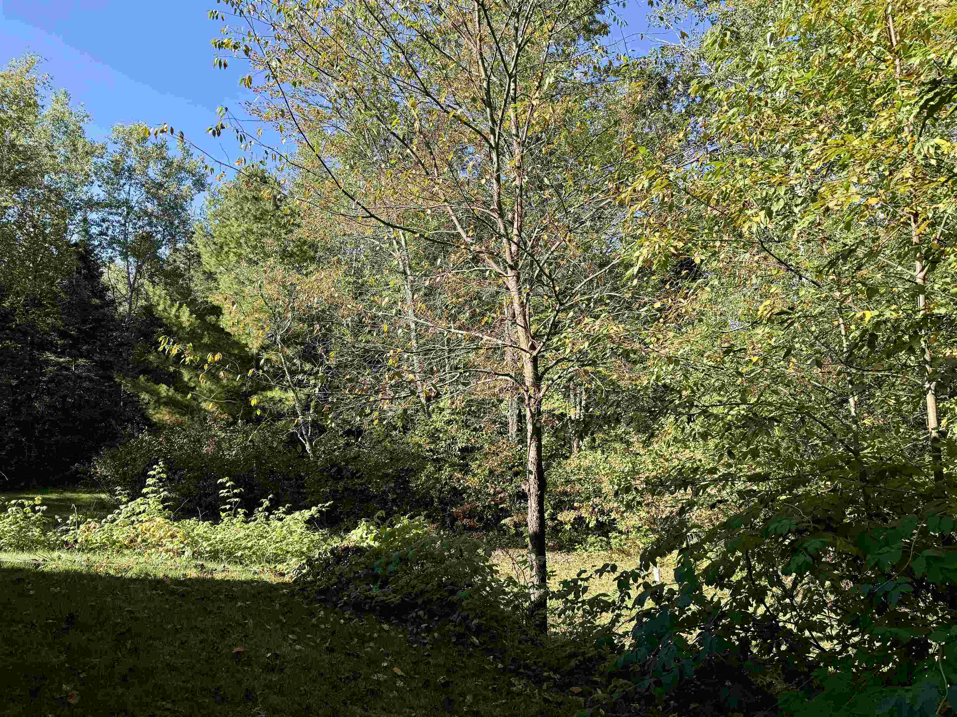 N13403 Highway 141 Wausaukee, WI 54177 - Photo 20 of 50