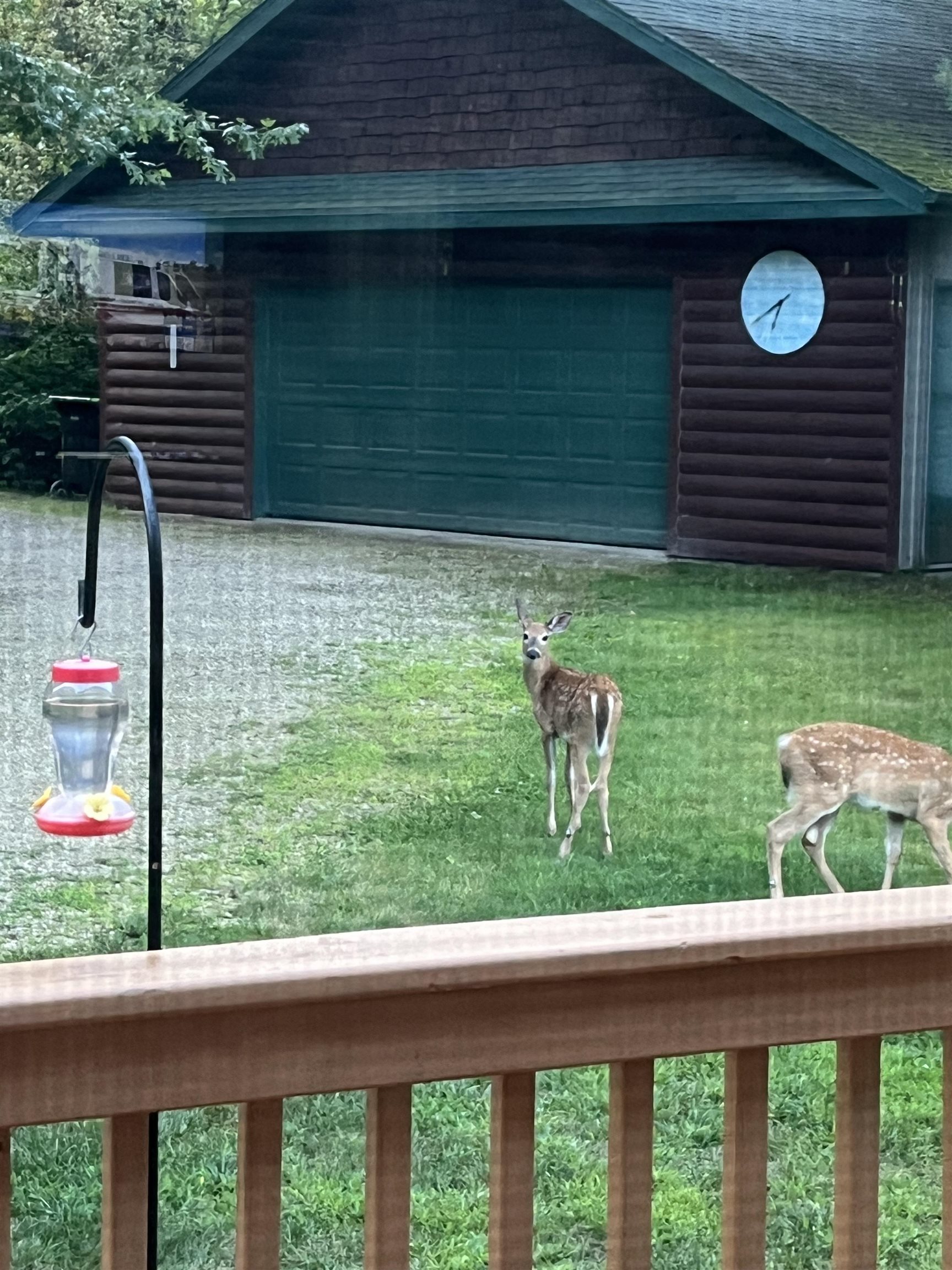 N13403 Highway 141 Wausaukee, WI 54177 - Photo 40 of 50