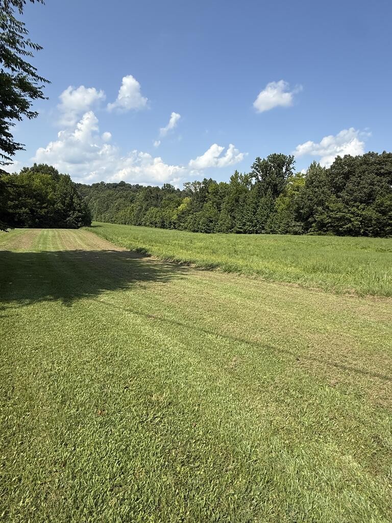 2455 Rabbit Creek Road Buchanan, TN 38222 - Photo 14 of 16 Gallery Image 14