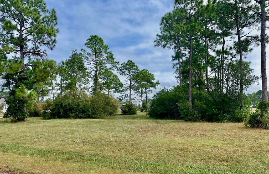 Lot 3 Cape Plantation Road Port St. Joe, FL 32456 - Photo 7 of 11