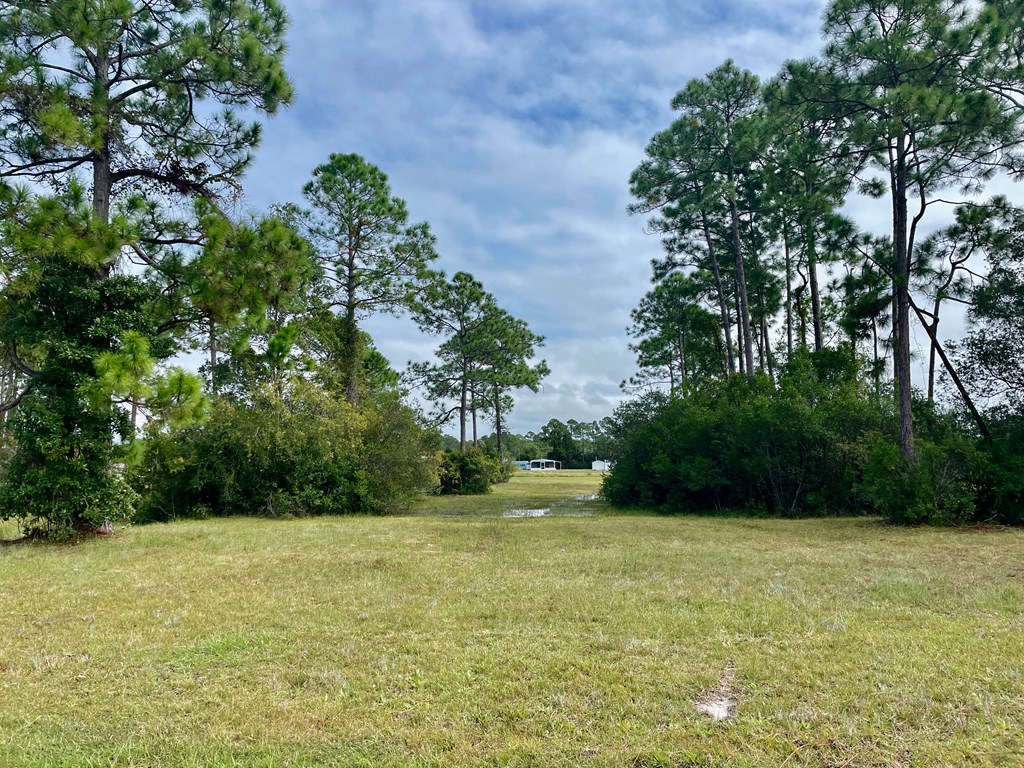 Lot 3 Cape Plantation Road Port St. Joe, FL 32456 - Photo 8 of 11