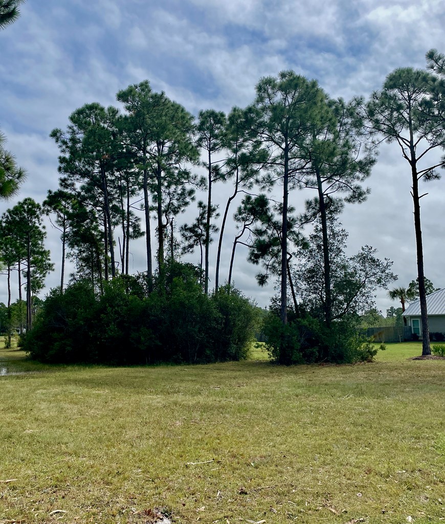 Lot 3 Cape Plantation Road Port St. Joe, FL 32456 - Photo 9 of 11