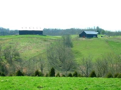 260 Galilee Road Lancaster, KY 40444 - Photo 5 of 29 Wonderful view of the property.
