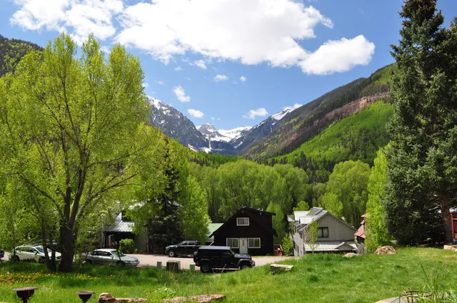 a view of a garden with lawn chairs