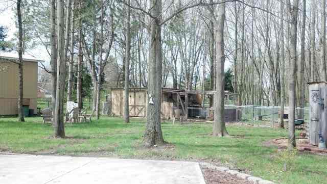 13100 West Council Road Yorktown, IN 47396 - Photo 22 of 30 Gallery Image 22