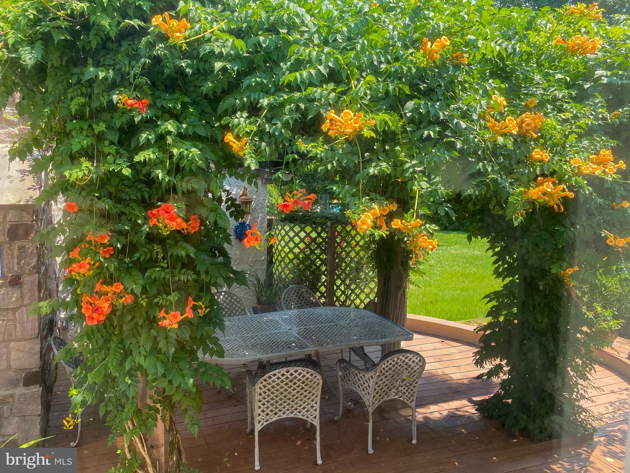14 Jonathan Way Washington Crossing, PA 18977 - Photo 42 of 58 Outdoor Dining with Trumpet Vine covered pergola