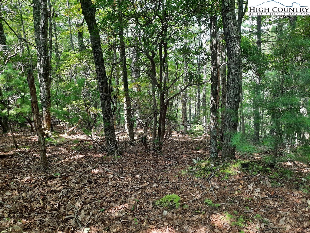 Lot 26 Flat Mountain Road Lenoir, NC 28645 - Photo 3 of 7 a view of a forest with trees in the background