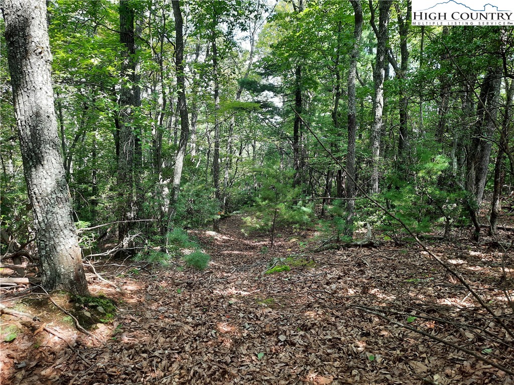 Lot 26 Flat Mountain Road Lenoir, NC 28645 - Photo 4 of 7 a backyard of a house with lots of green space