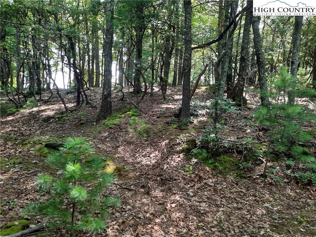 Lot 26 Flat Mountain Road Lenoir, NC 28645 - Photo 5 of 7 a view of forest