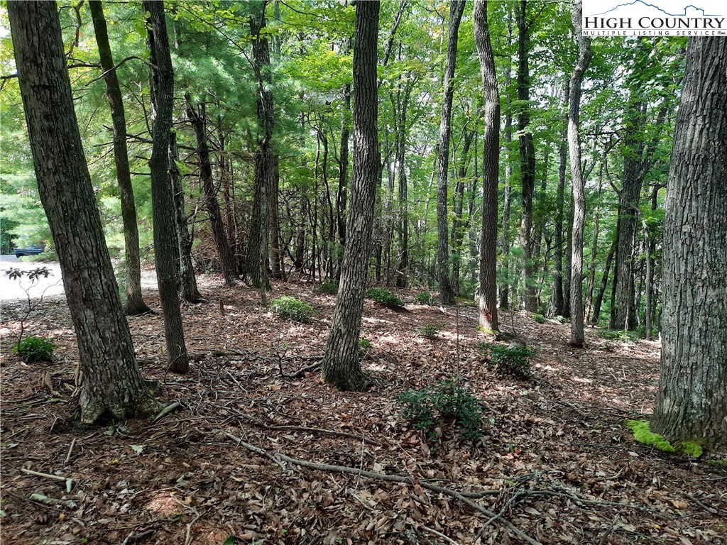 Lot 26 Flat Mountain Road Lenoir, NC 28645 - Photo 6 of 7 a view of outdoor space with lots of trees