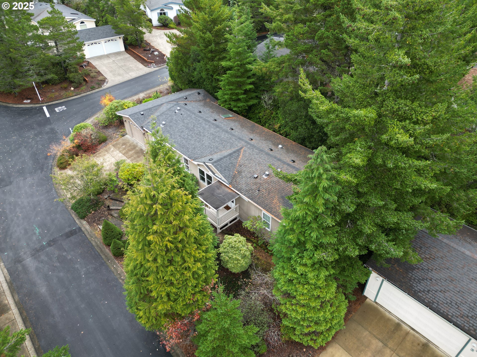 325 Jonathan Lane Florence, OR 97439 - Photo 36 of 37 a picture of a yard with plants