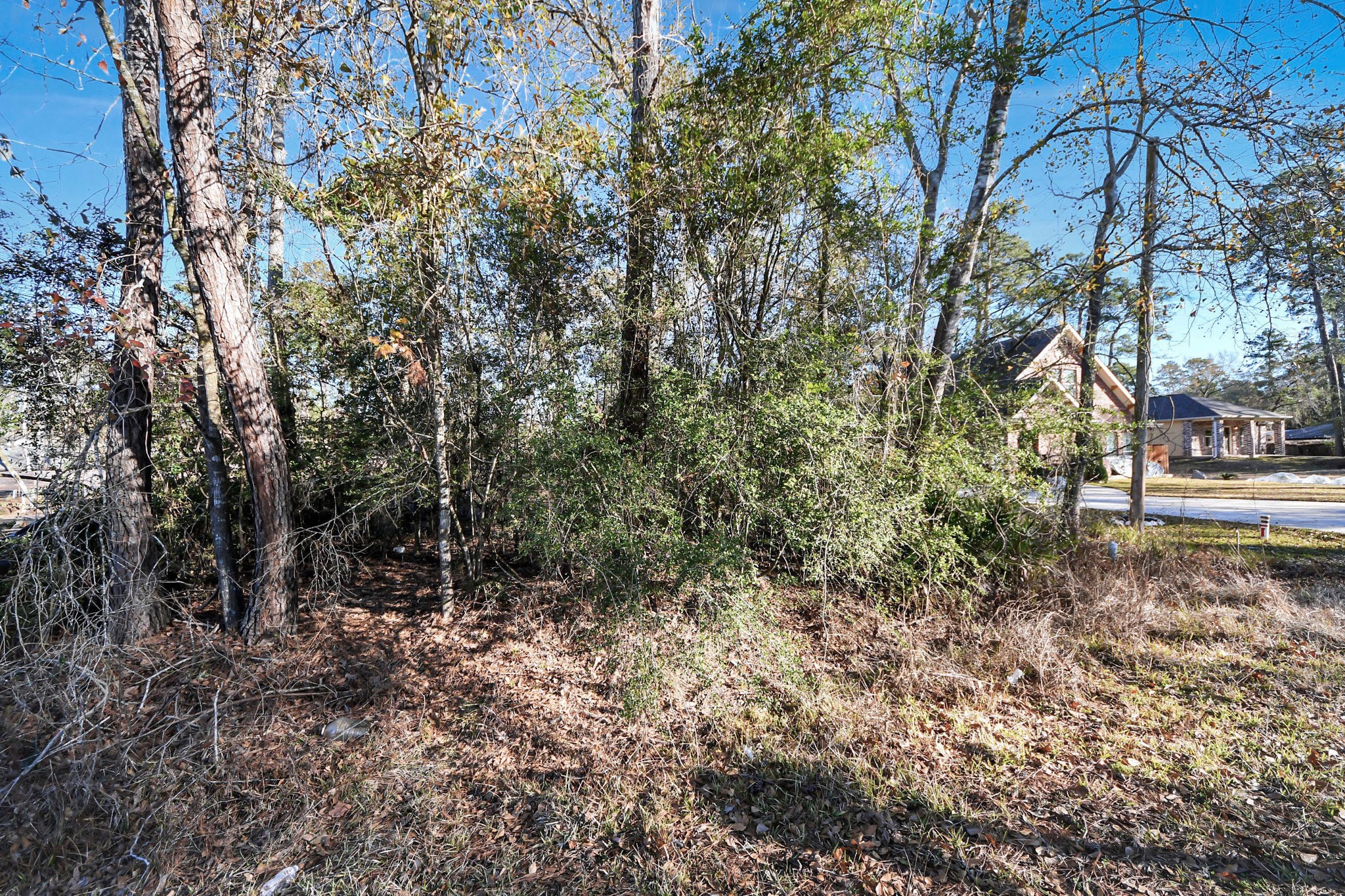 1506 Flamingo Street Conroe, TX 77385 - Photo 13 of 15