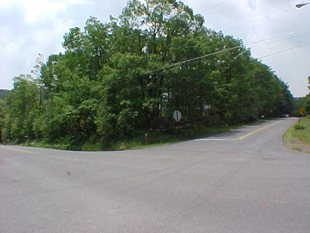 29 Holly Forest Road Mount Pocono, PA 18344 - Photo 4 of 14 a view of a field with plants and trees
