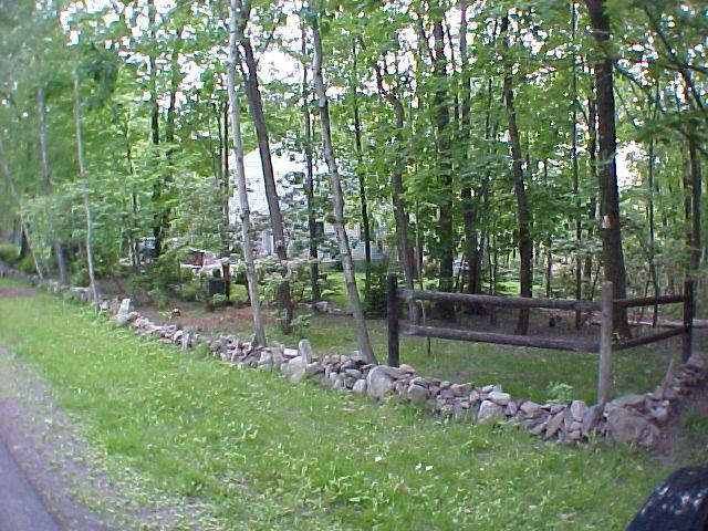 29 Holly Forest Road Mount Pocono, PA 18344 - Photo 5 of 14 a garden with lots of trees