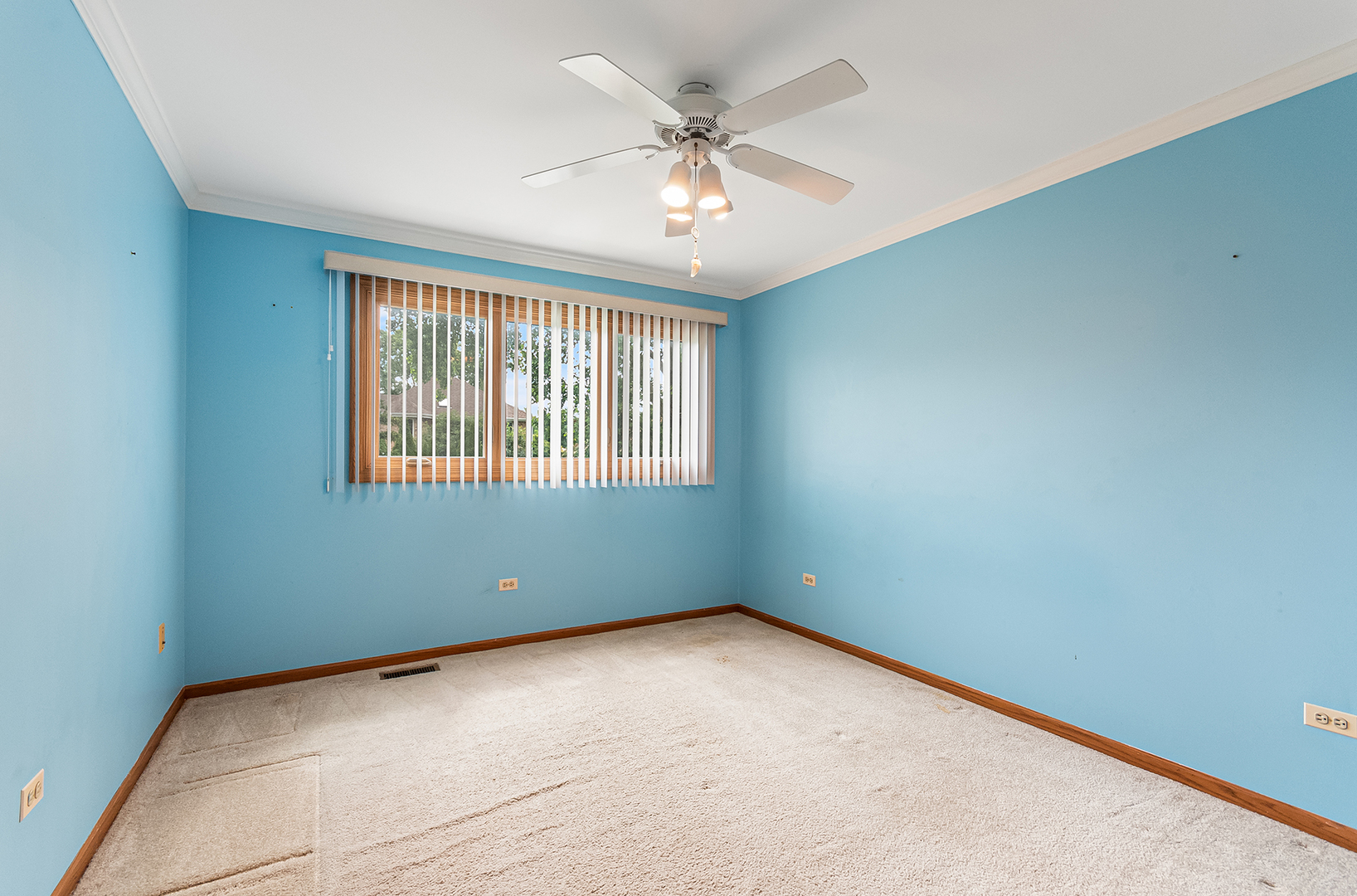 891 Young Street Lemont, IL 60439 - Photo 17 of 23