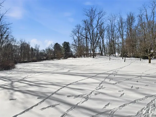 a view of a building with snow on the roadside