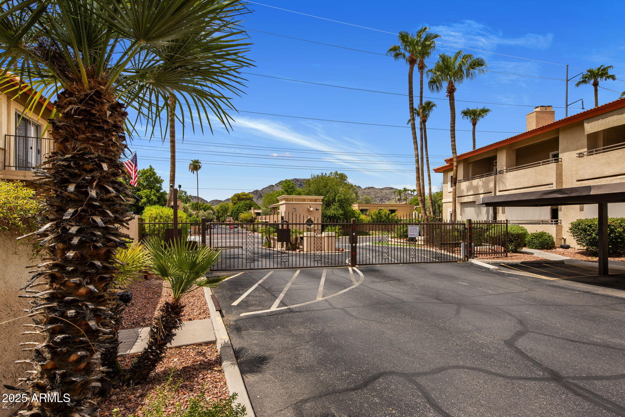 10410 North Cave Creek Road, Unit 1115 Phoenix, AZ 85020 - Photo 19 of 19 a row of palm trees sitting in front of a building