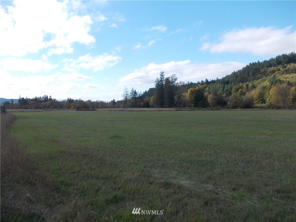 12925 Hunter Road Southwest Rochester, WA 98579 - Photo 22 of 25