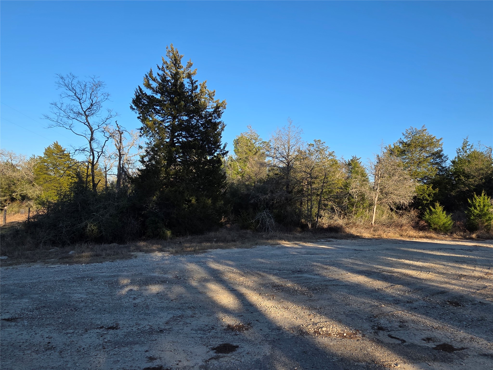 1241 Scenic View Lexington, TX 78947 - Photo 3 of 4 View of dirt / gravel road