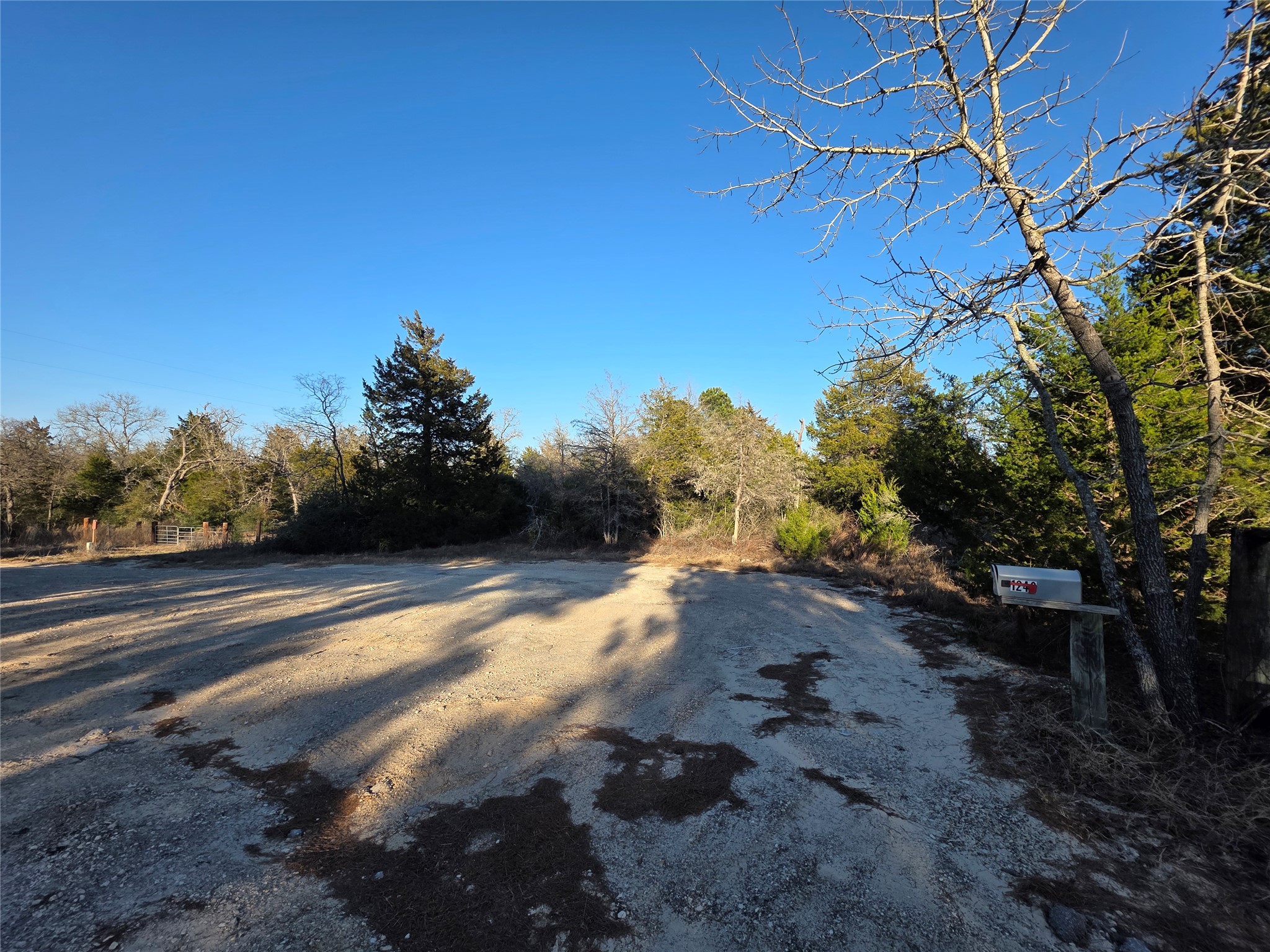 1241 Scenic View Lexington, TX 78947 - Photo 4 of 4 View of street