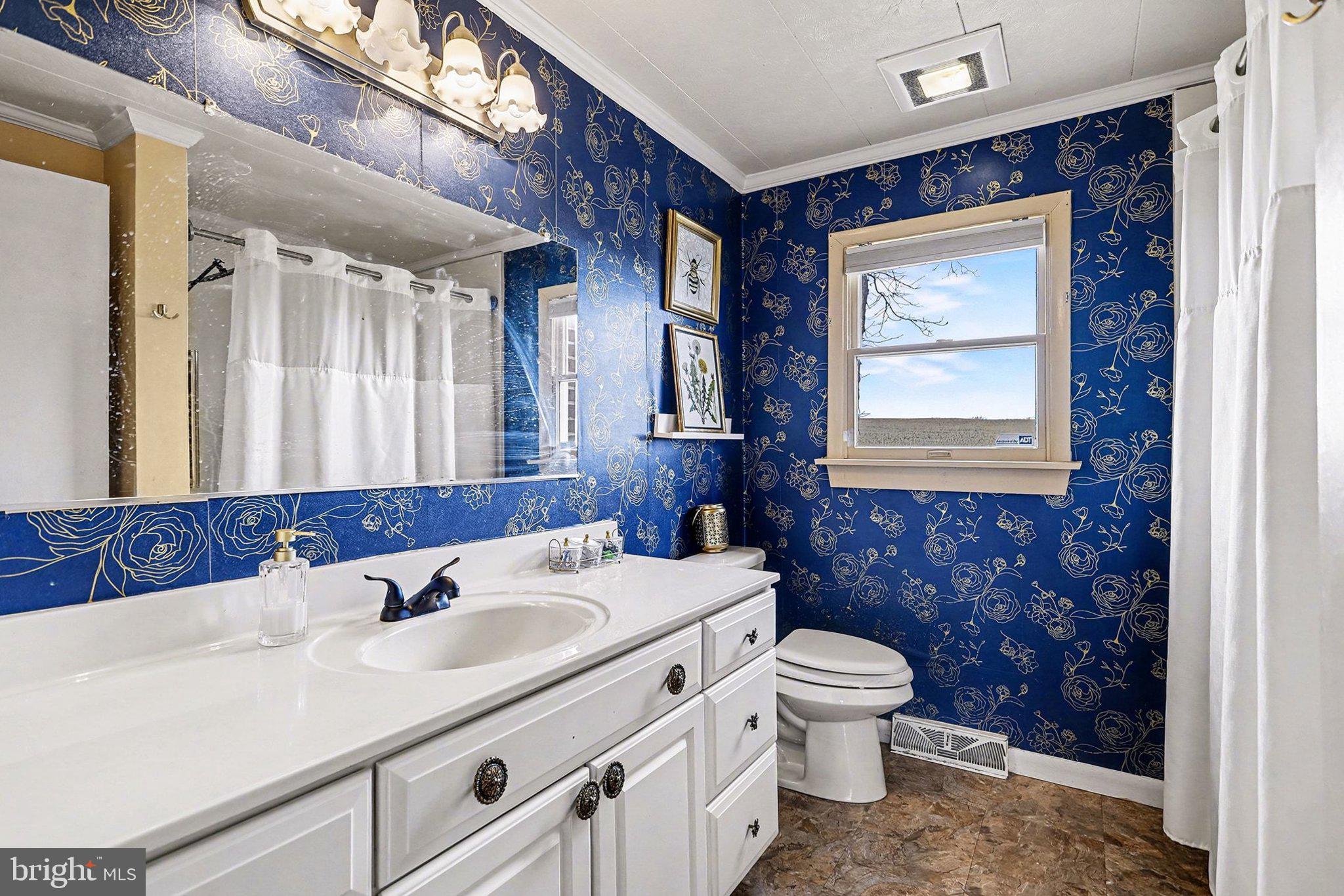 5405 West Canal Road East Berlin, PA 17316 - Photo 23 of 45 a bathroom with a sink a toilet and a mirror