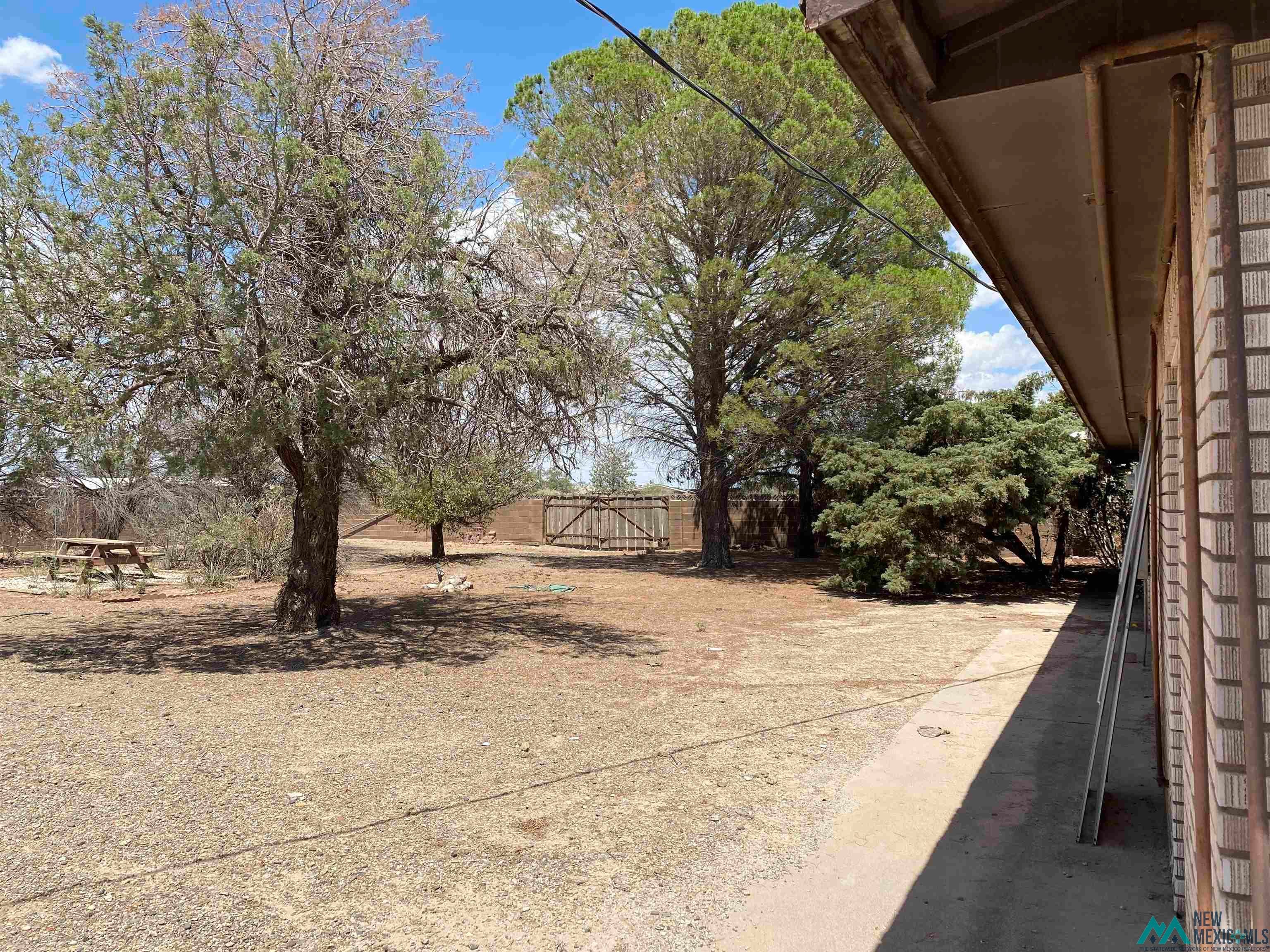 5985 Charolais Road Deming, NM 88030 - Photo 3 of 22 Expansive backyard with a mix of natural ground cover and mature trees