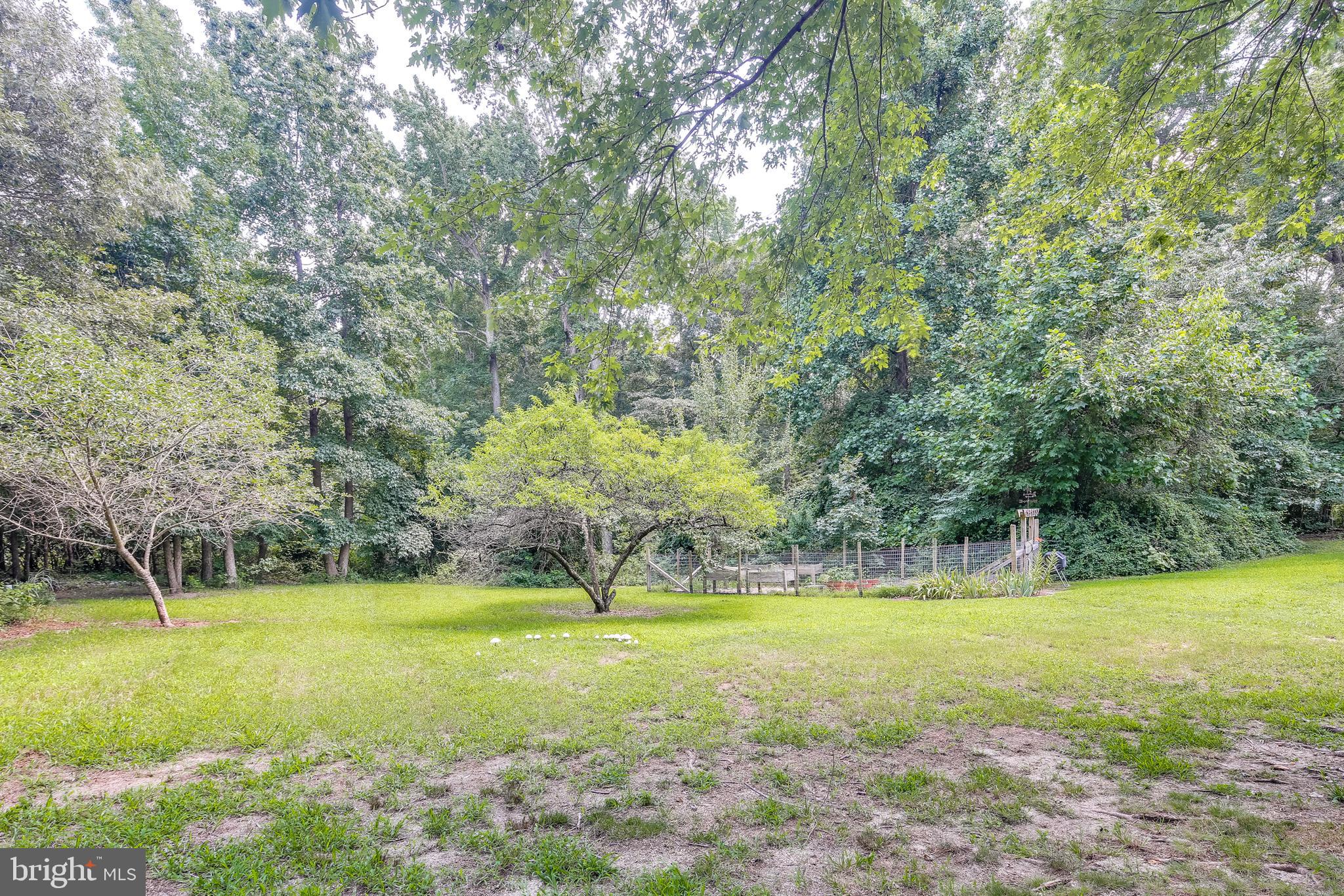 3895 Hunting Creek Road Huntingtown, MD 20639 - Photo 25 of 25 Private backyard