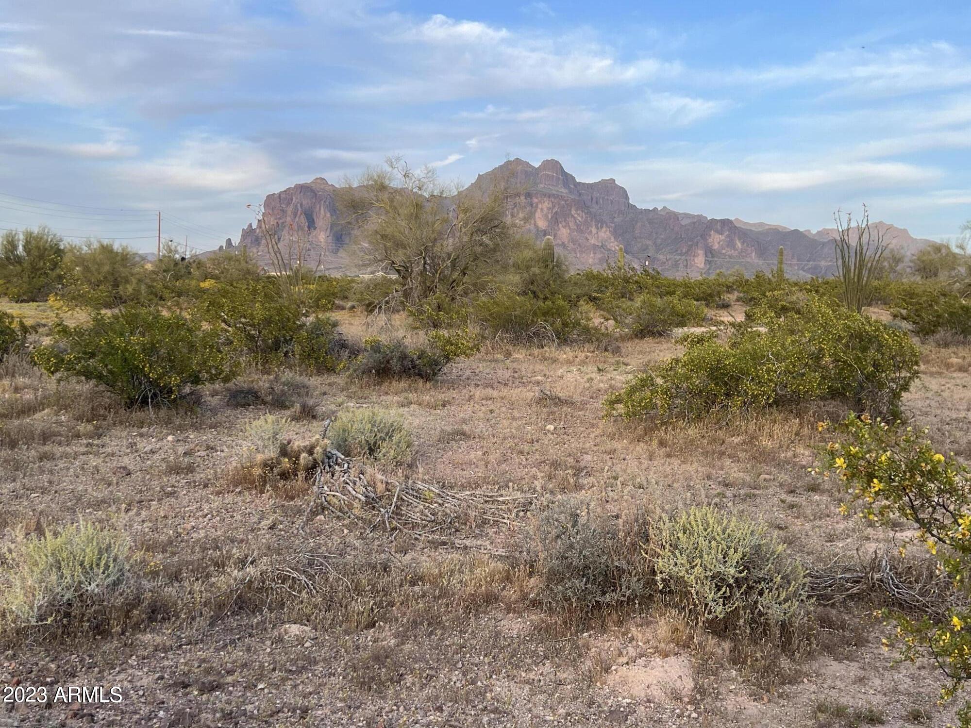 0 North Bowman Road Apache Junction, AZ 85119 - Photo 1 of 5 a view of a dry yard with mountains in the background