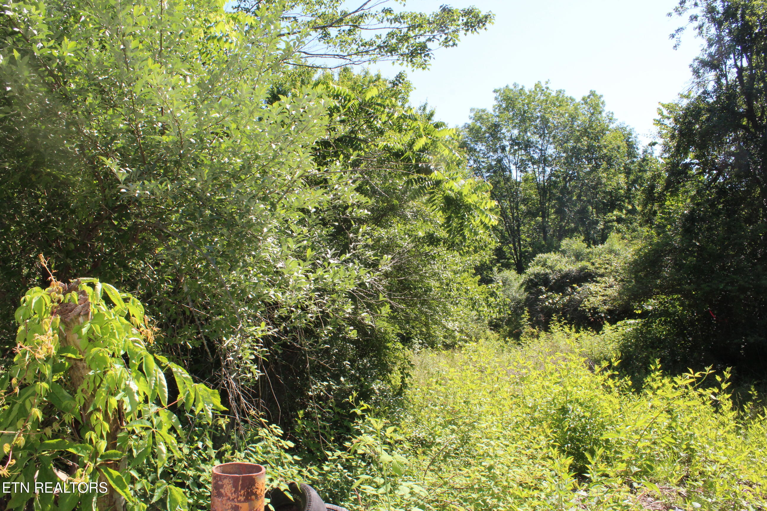 Goney Road Grimsley, TN 38565 - Photo 6 of 8 041