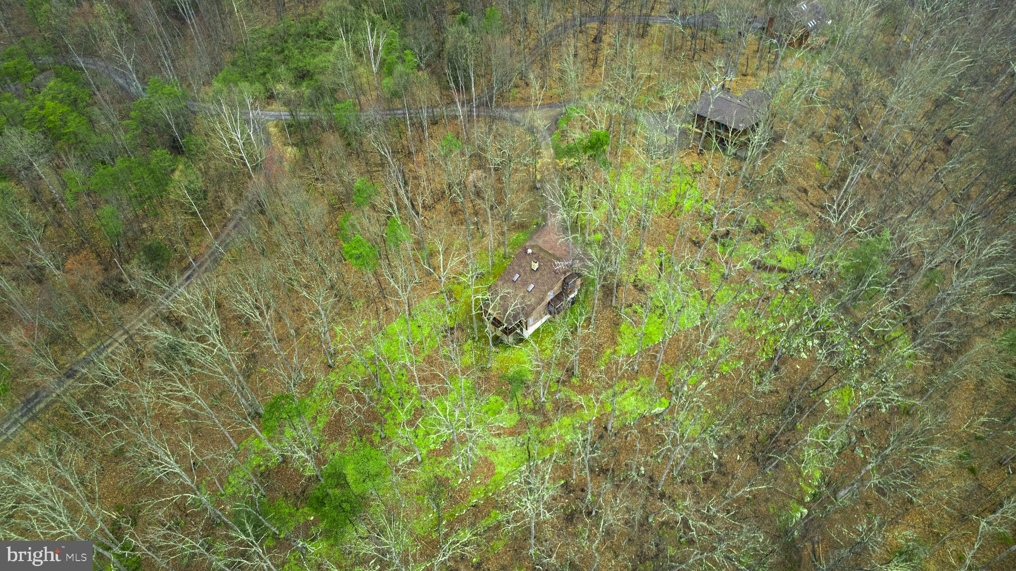 170 Cardinal Lane Berkeley Springs, WV 25411 - Photo 24 of 26 a view of a lush green forest