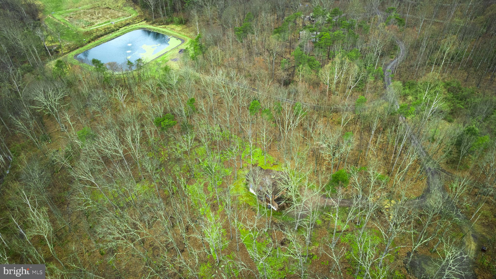 170 Cardinal Lane Berkeley Springs, WV 25411 - Photo 25 of 26 a view of a yard