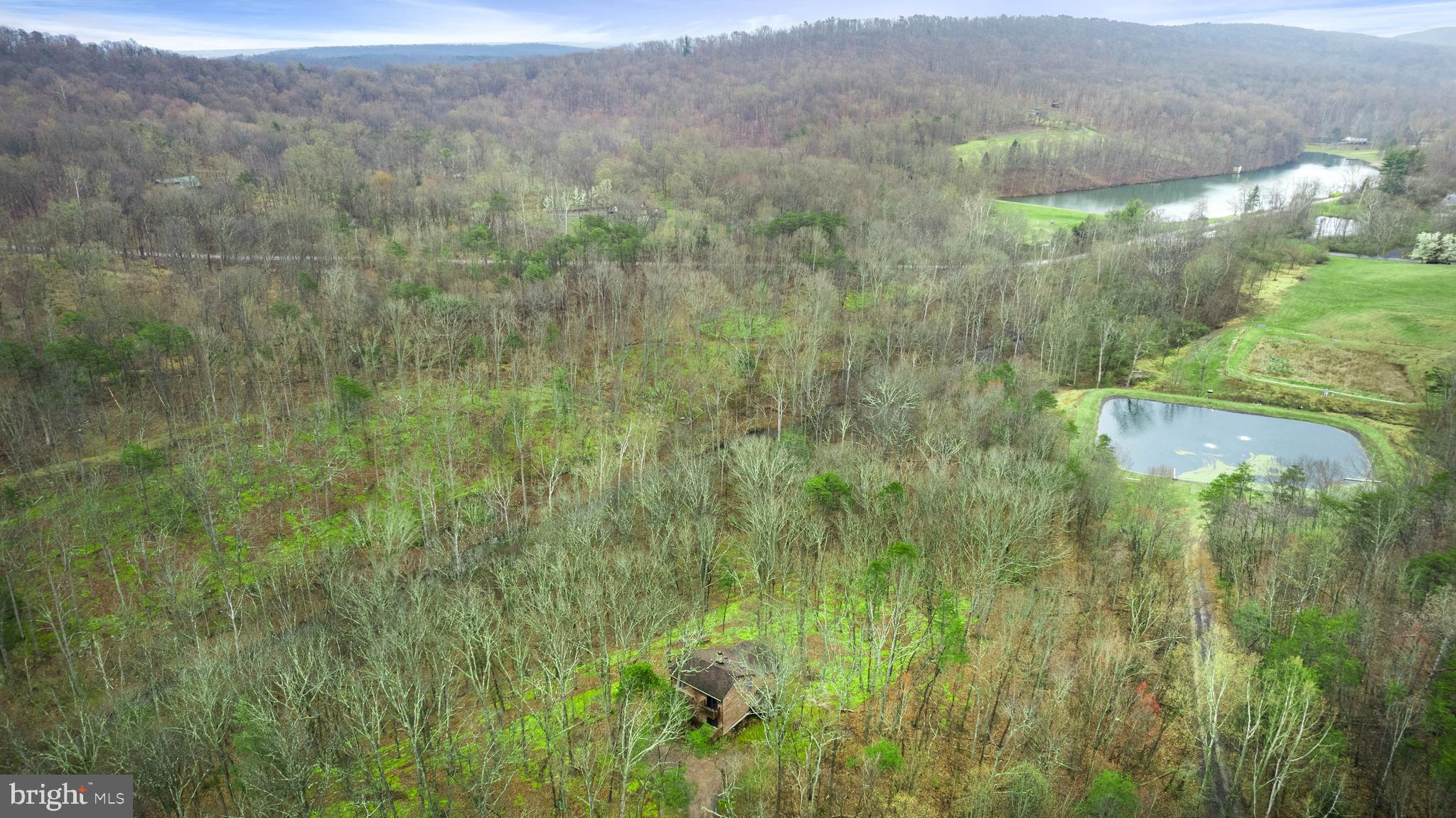 170 Cardinal Lane Berkeley Springs, WV 25411 - Photo 26 of 26 a view of a lush green forest with trees and some houses