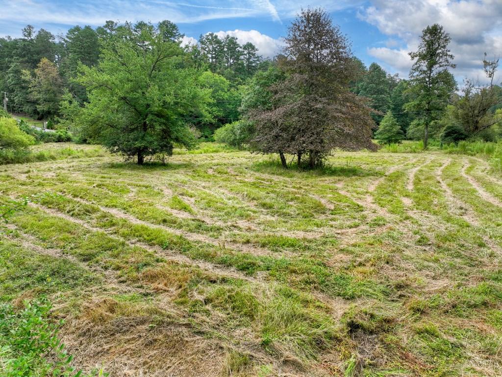 34.51-ac Weaver Creek Road Blue Ridge, GA 30513 - Photo 3 of 26 Gallery Image 3
