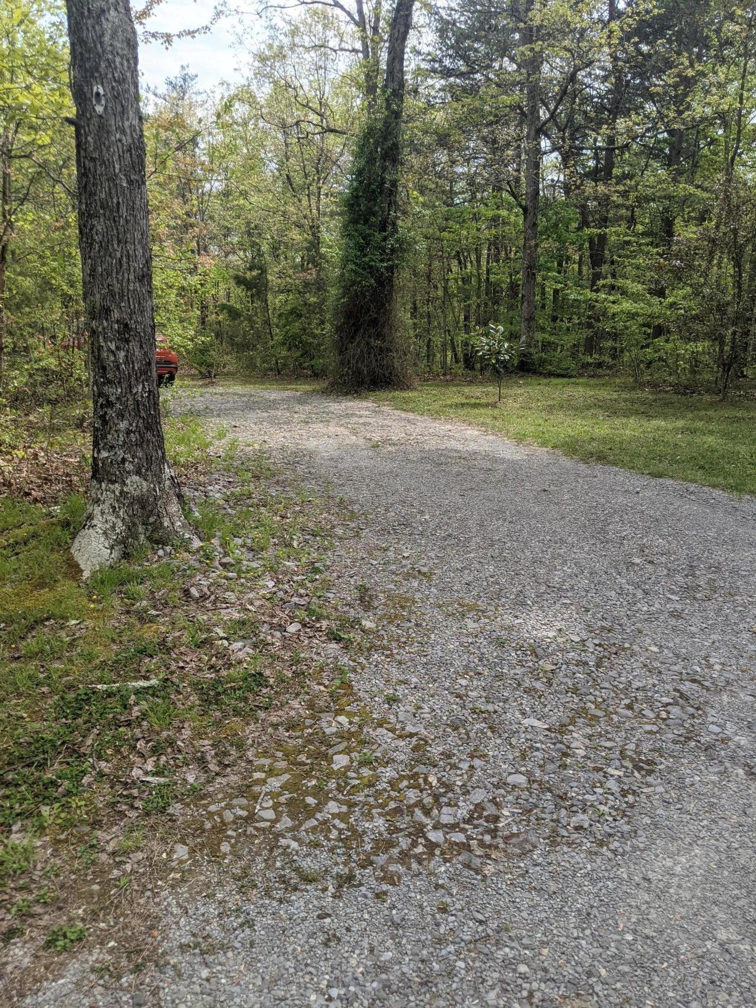 365 Leather Gap Road Dunlap, TN 37327 - Photo 3 of 47 PXL_20210428_195915574