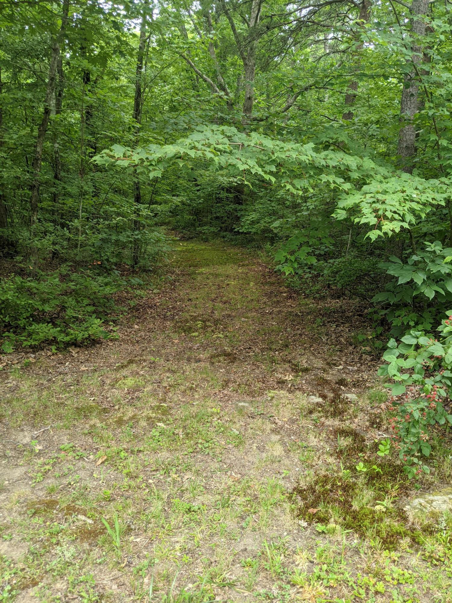 365 Leather Gap Road Dunlap, TN 37327 - Photo 46 of 47 PXL_20210707_200520540