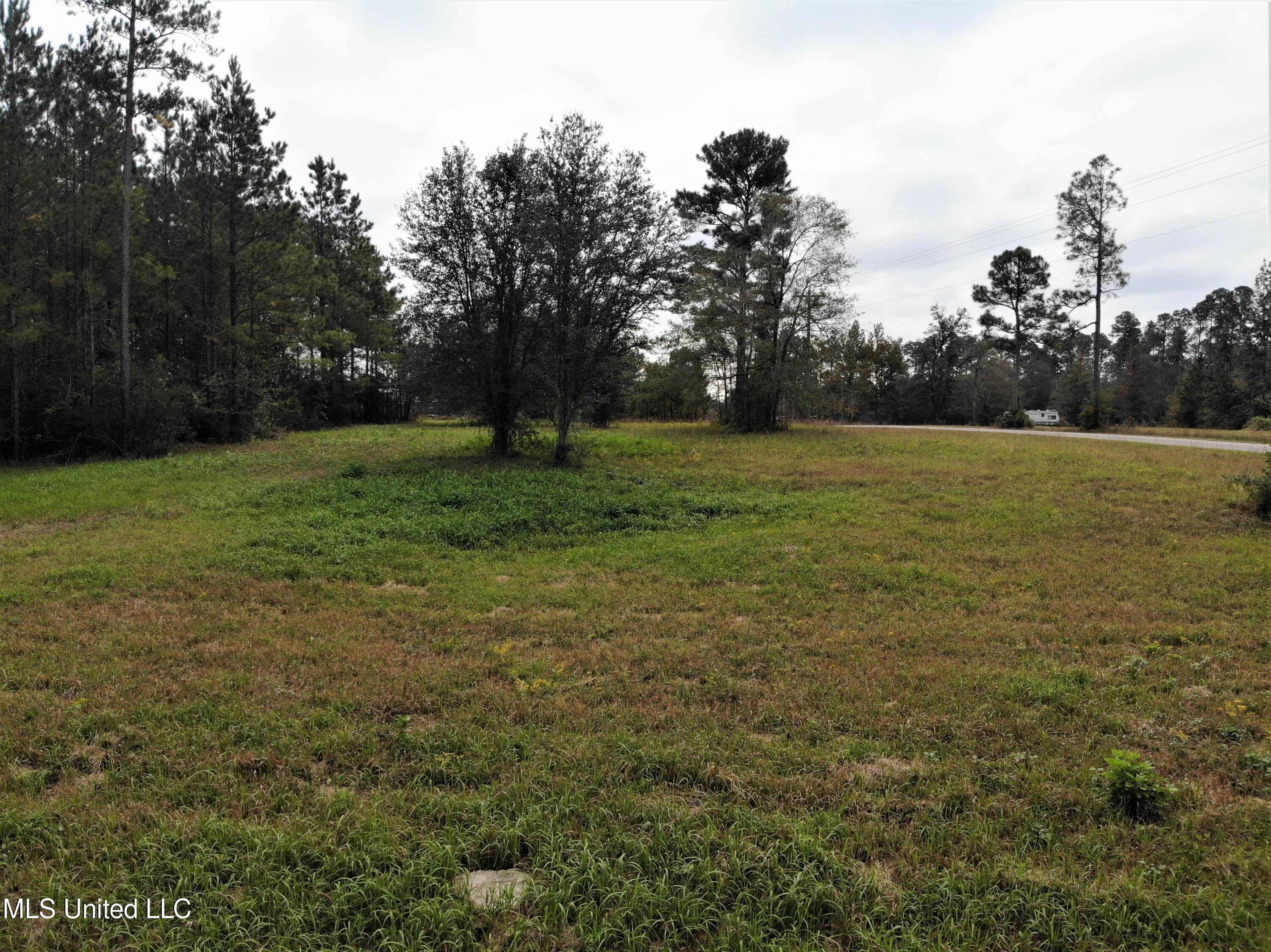 Alcede-lizana Alcede Lizana Road Gulfport, MS 39503 - Photo 12 of 15 org_f40a064c32cc3fdd_1636131342000