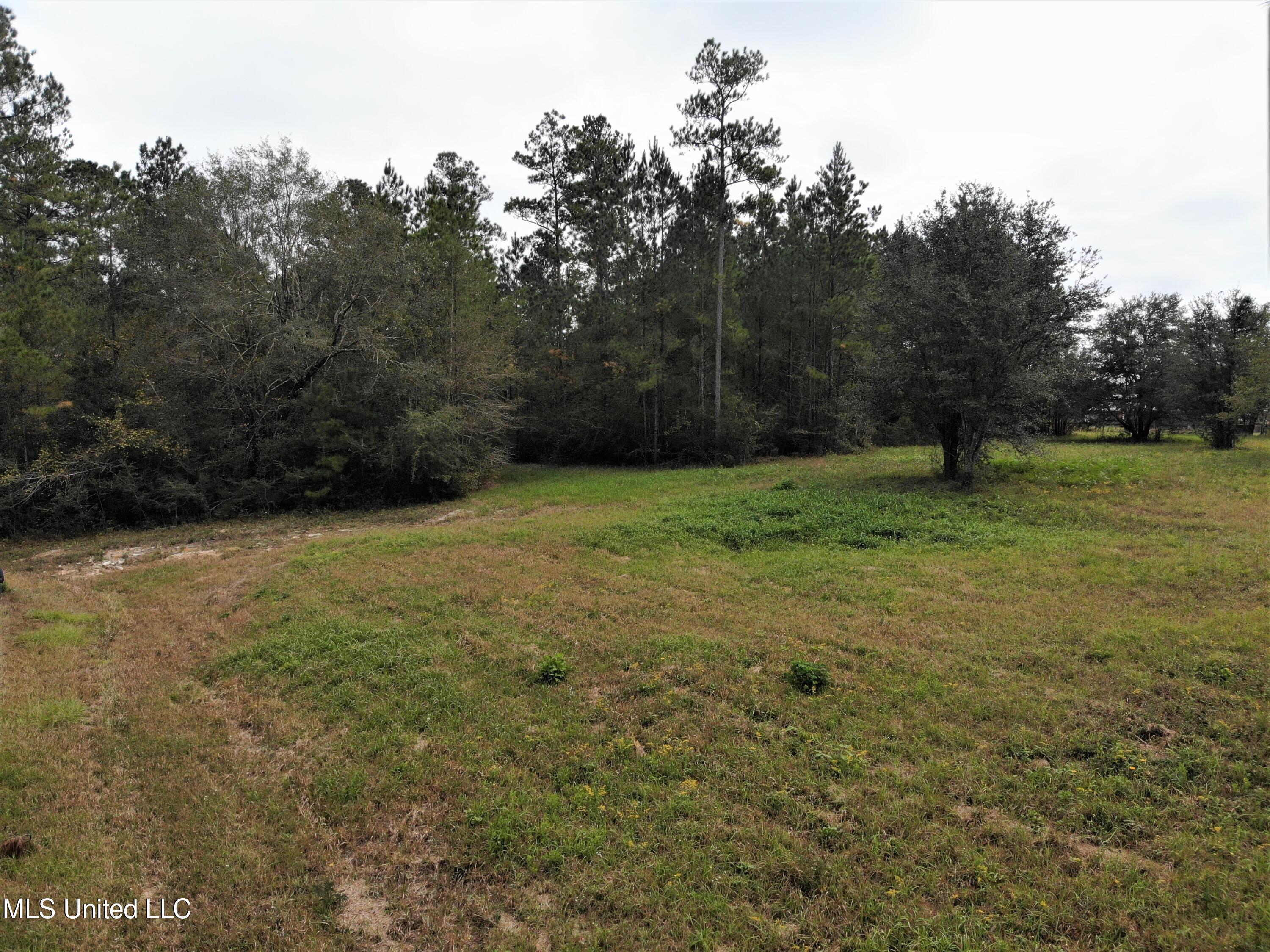 Alcede-lizana Alcede Lizana Road Gulfport, MS 39503 - Photo 2 of 15 org_e0905aed4a4b4c24_1636131364000