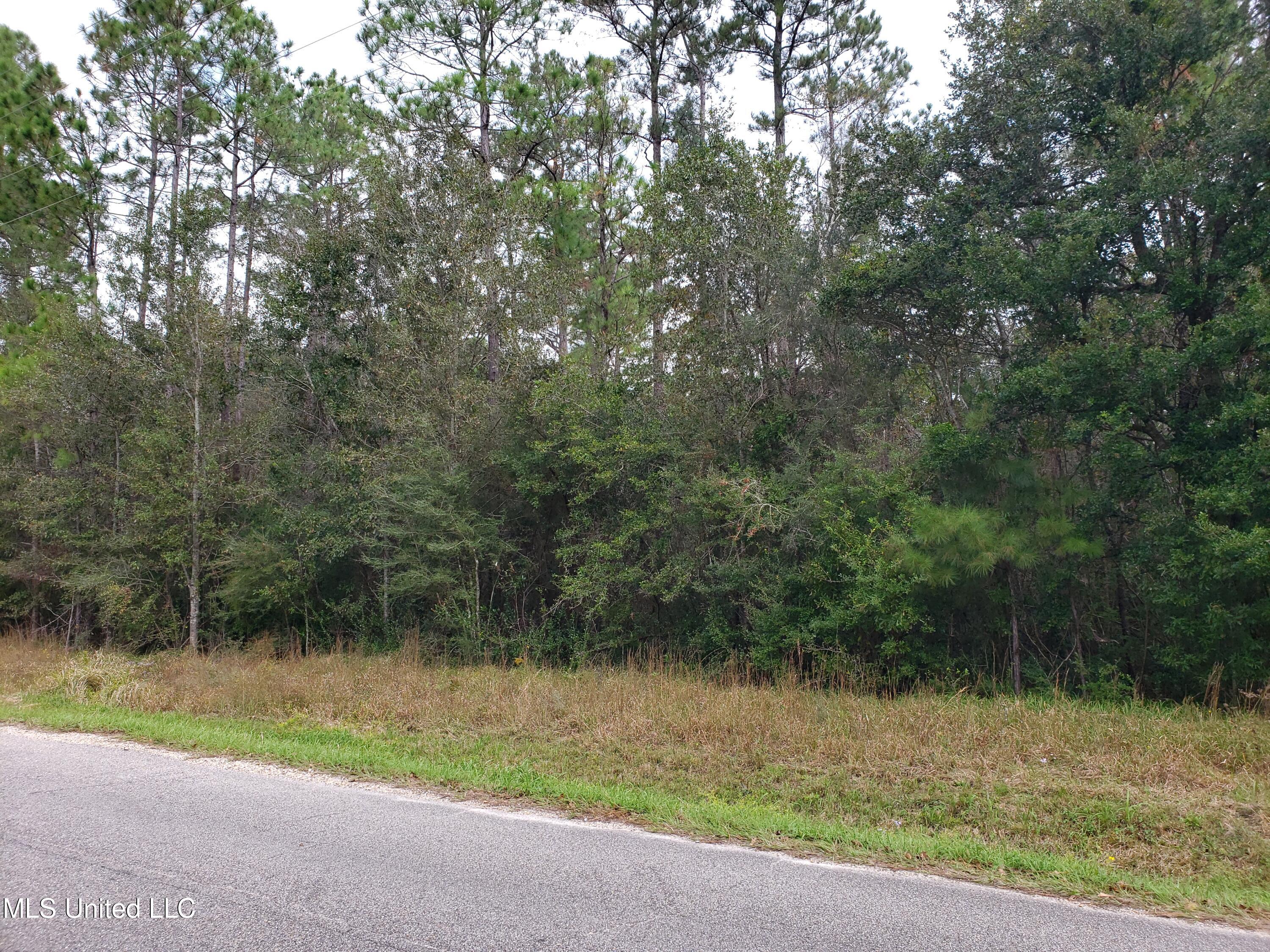 Alcede-lizana Alcede Lizana Road Gulfport, MS 39503 - Photo 3 of 15 20211105_121656