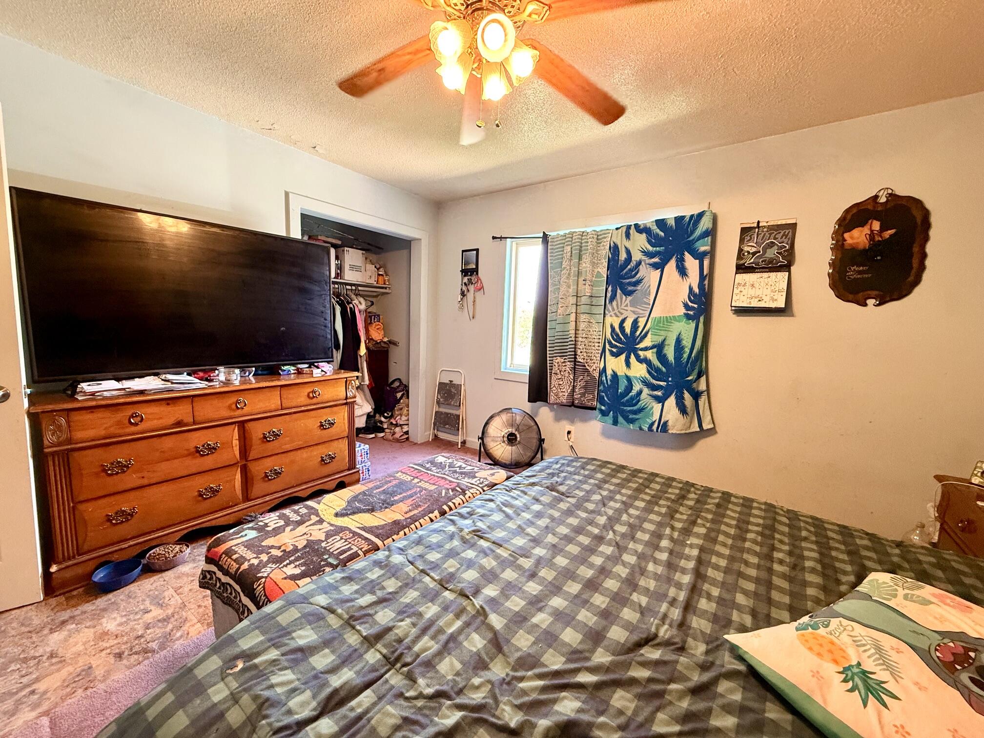 8565 Mt Hope Road Carson City, MI 48811 - Photo 16 of 36 bed2