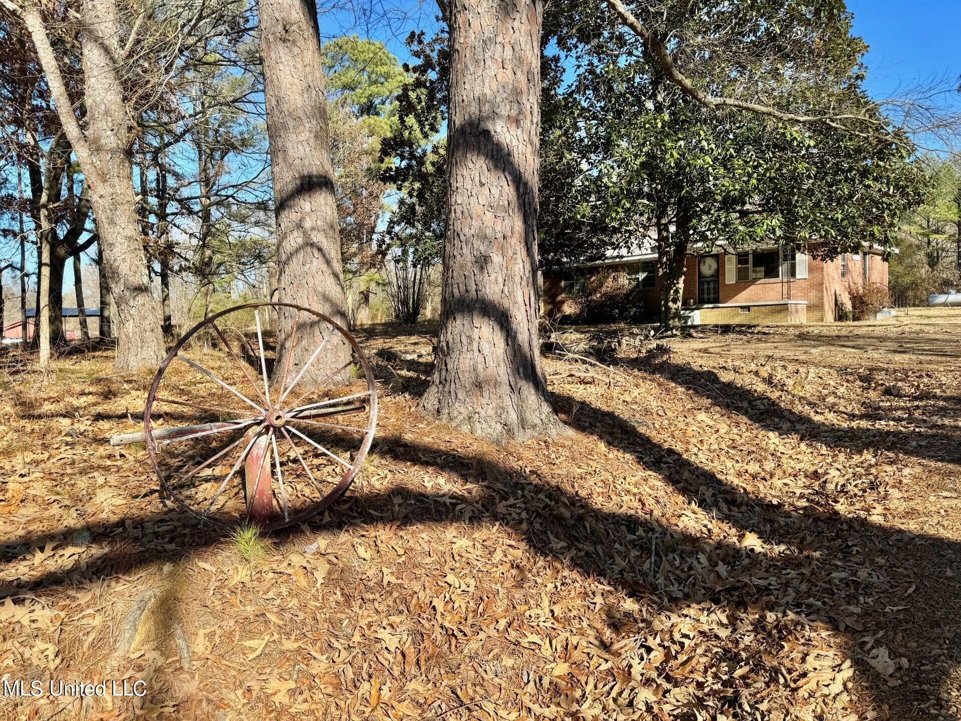 3808 Parks Place Road Como, MS 38619 - Photo 12 of 12 thumbnail_IMG_3012