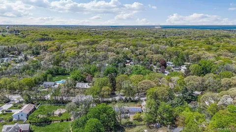 a view of a city with lush green forest