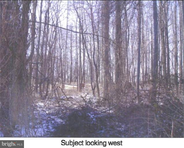 Pot Spring Road Cockeysville, MD 21030 - Photo 5 of 7 Wooded View / Acreage