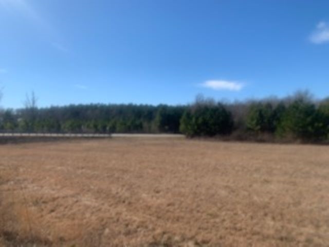 0 Boiling Springs Road Inman, SC 29349 - Photo 1 of 5