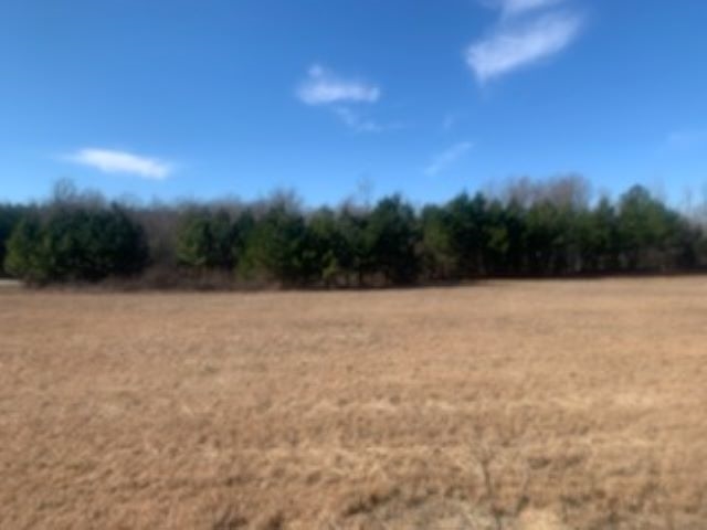 0 Boiling Springs Road Inman, SC 29349 - Photo 2 of 5
